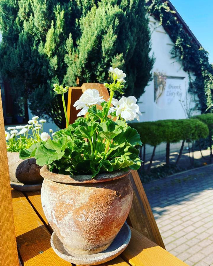 Hotell Dworek Zloty Rog I Restauracja